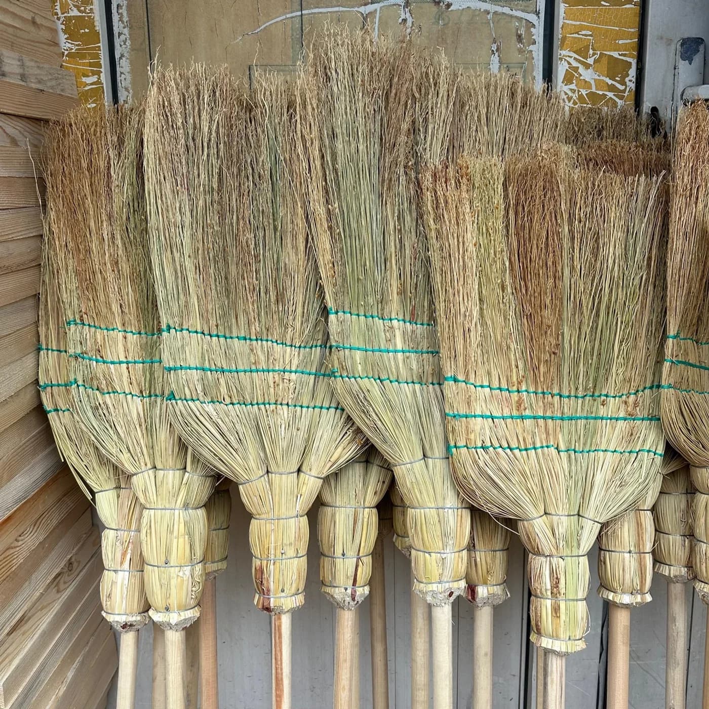 Метла сорго